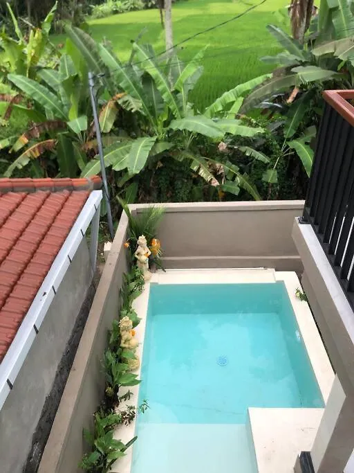 Artha Kusuma Villa Ubud 0*,  Indonesia